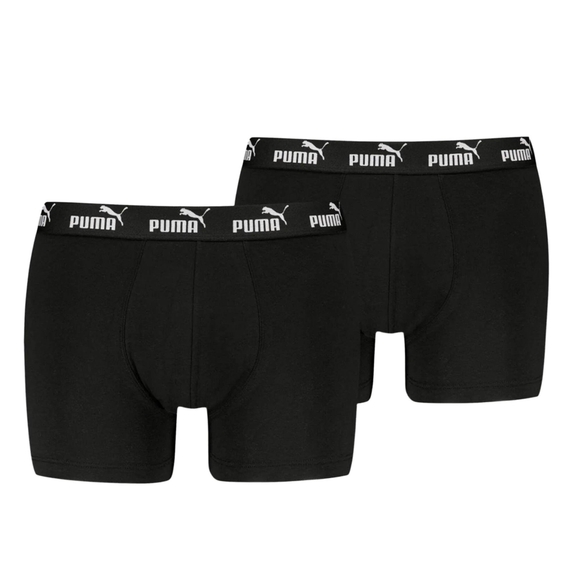 Мужские трусы Elements Basic Boxers 2P PUMA 93875309-S
