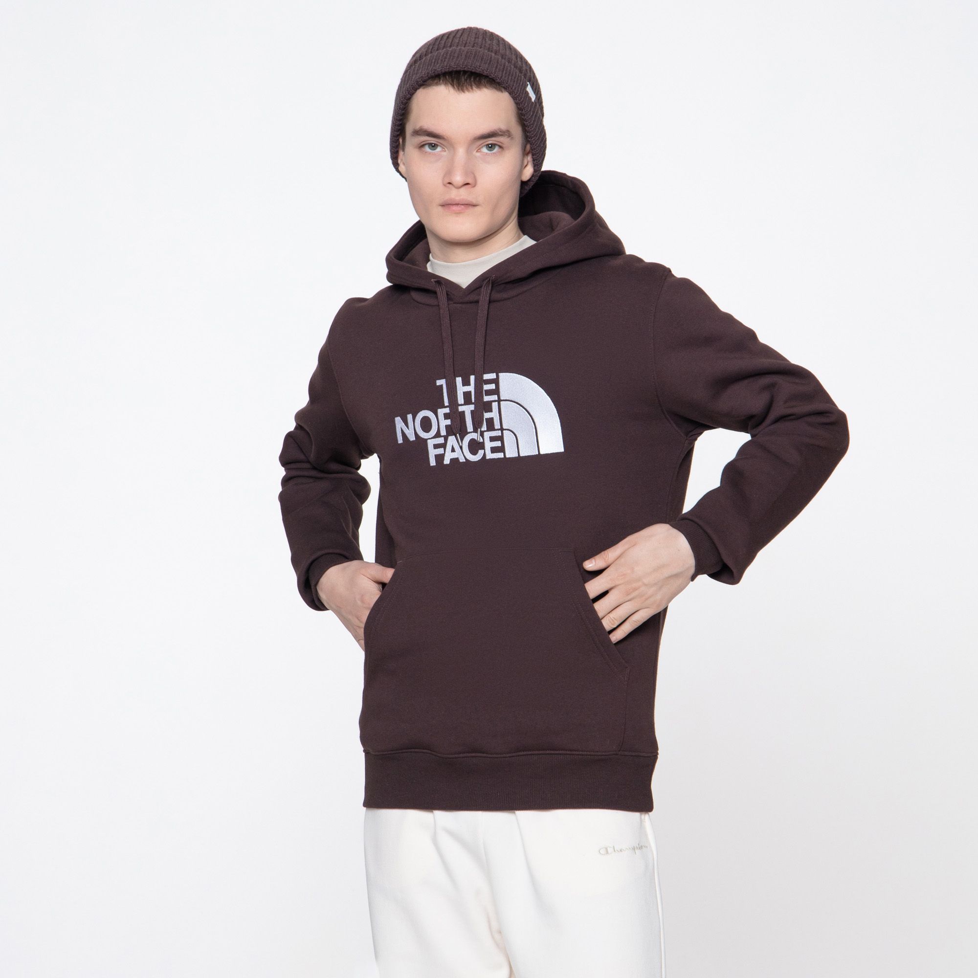 Мужская худи The North Face Drew Peak Hoodie NF00AHJYI0I1-S