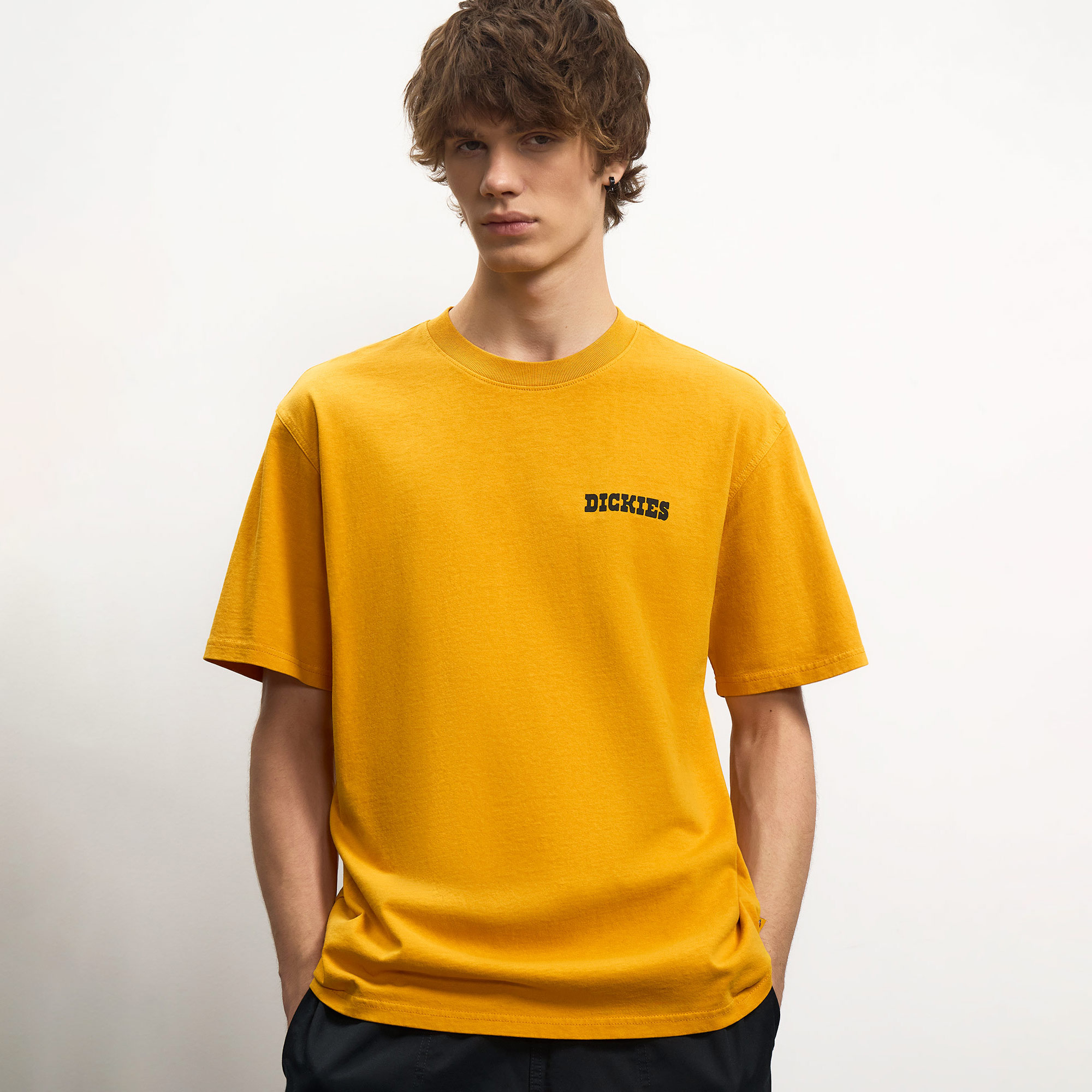 Мужская футболка Darrtown Tee Dickies DK0A88QQSOR1-XL