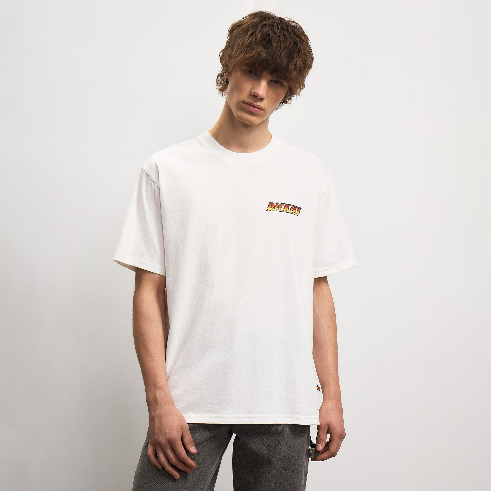 Мужская футболка Nashport Pit Crew Tee Dickies DK0A89EO0WH1-S