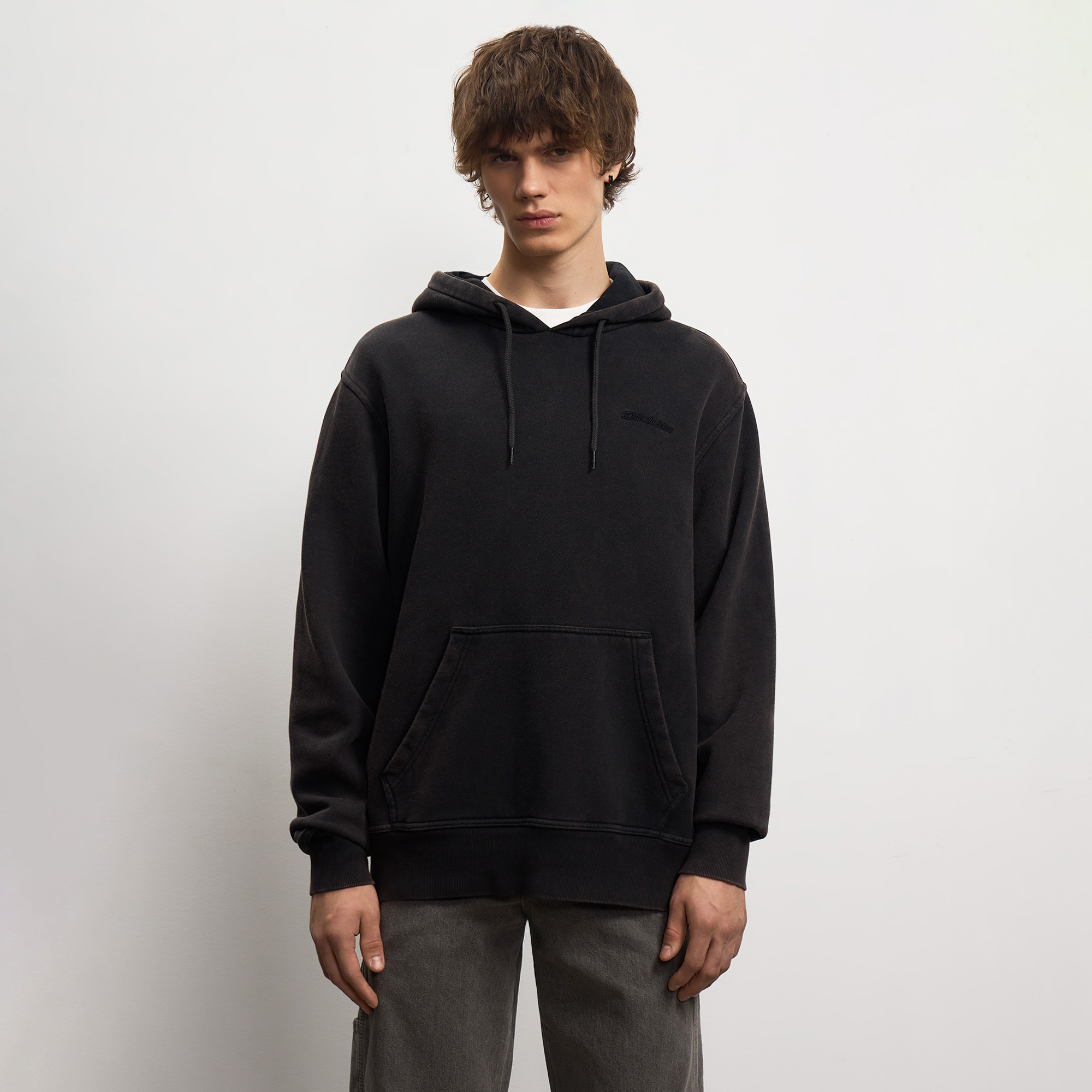 Мужская толстовка Plentywood Hoodie Dickies DK0A866DBLK1-L