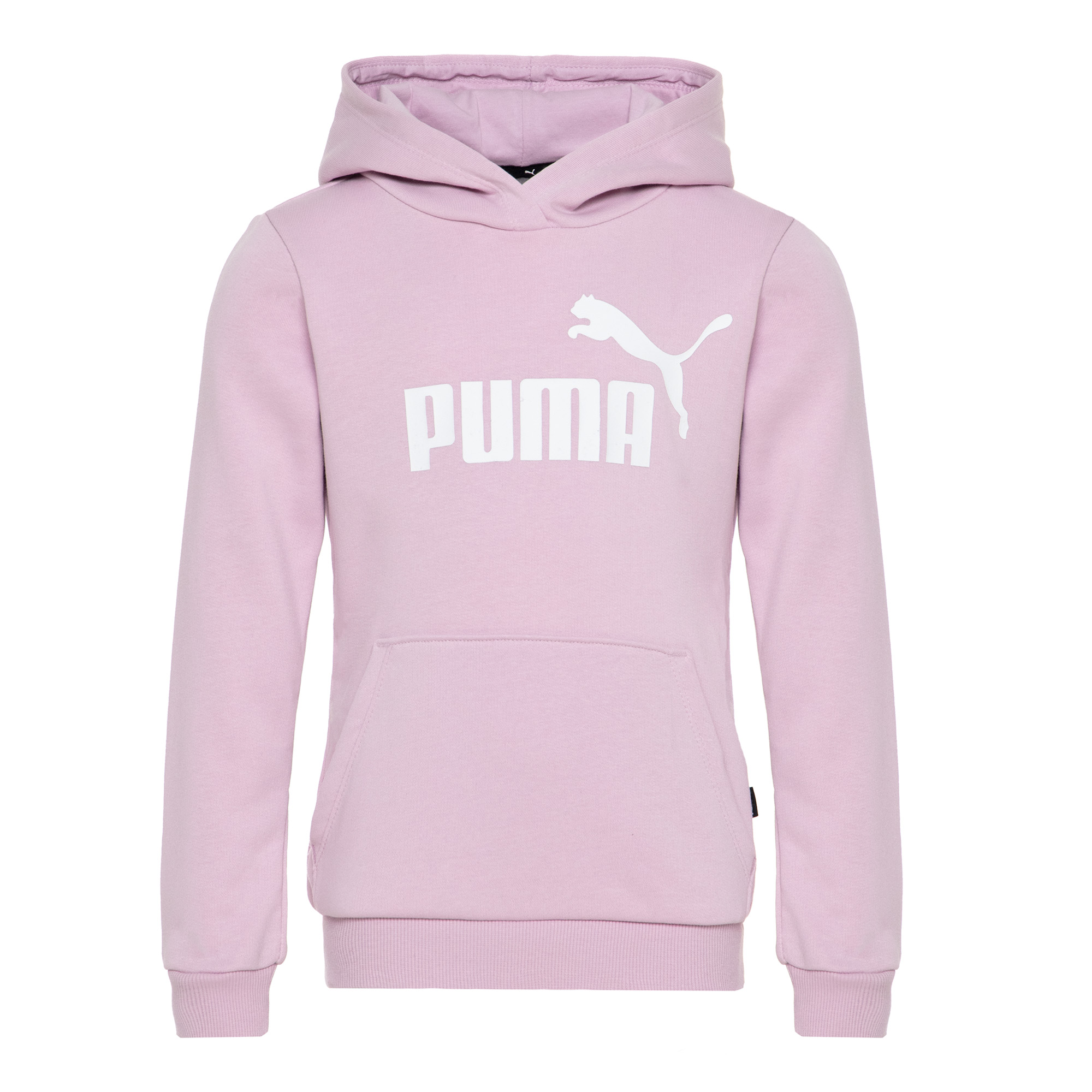 Подростковая худи Essentials Logo Hoodie PUMA 58703060-110