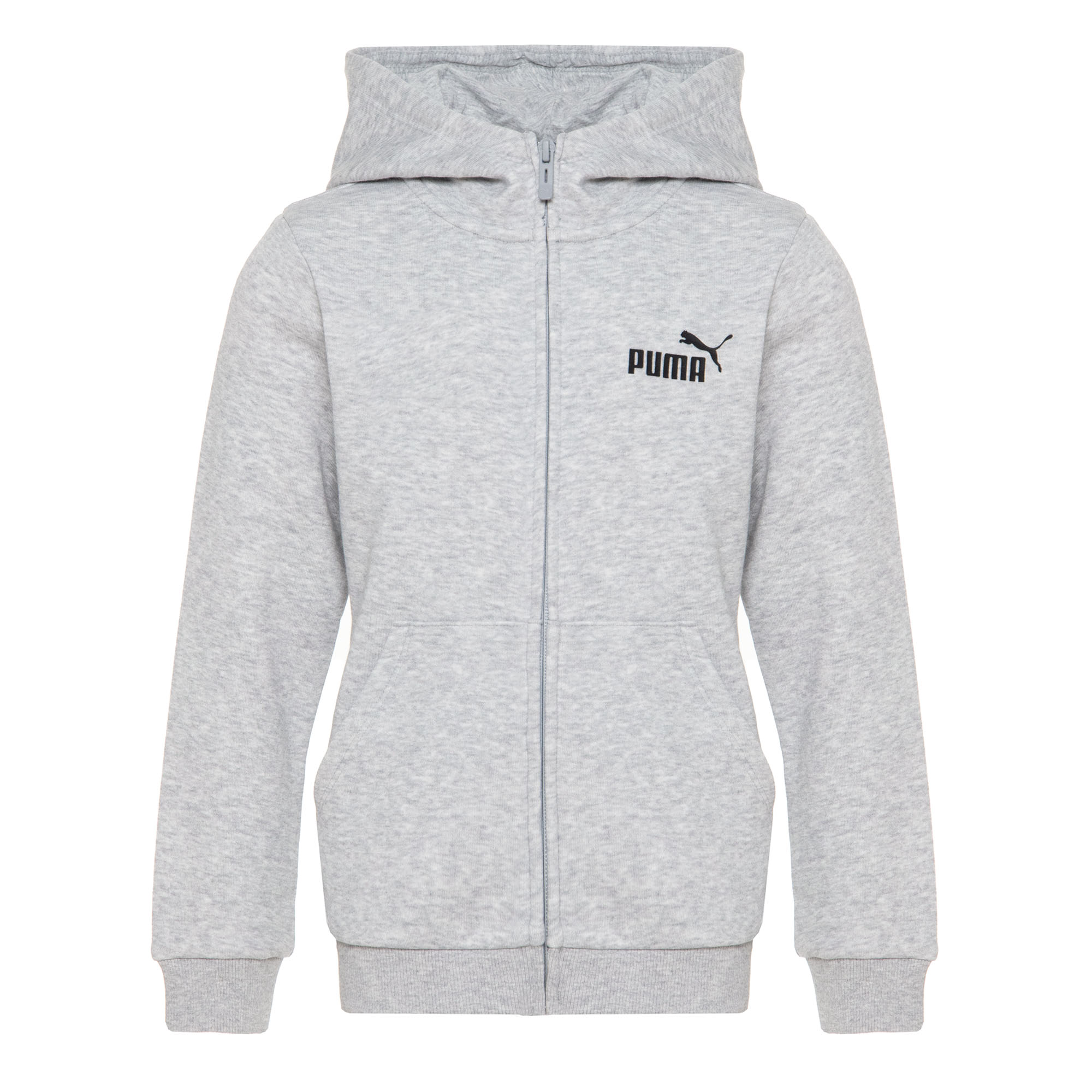 Подростковая толстовка PUMA Essentials Small Logo Full-Zip Hoodie 58703304-128