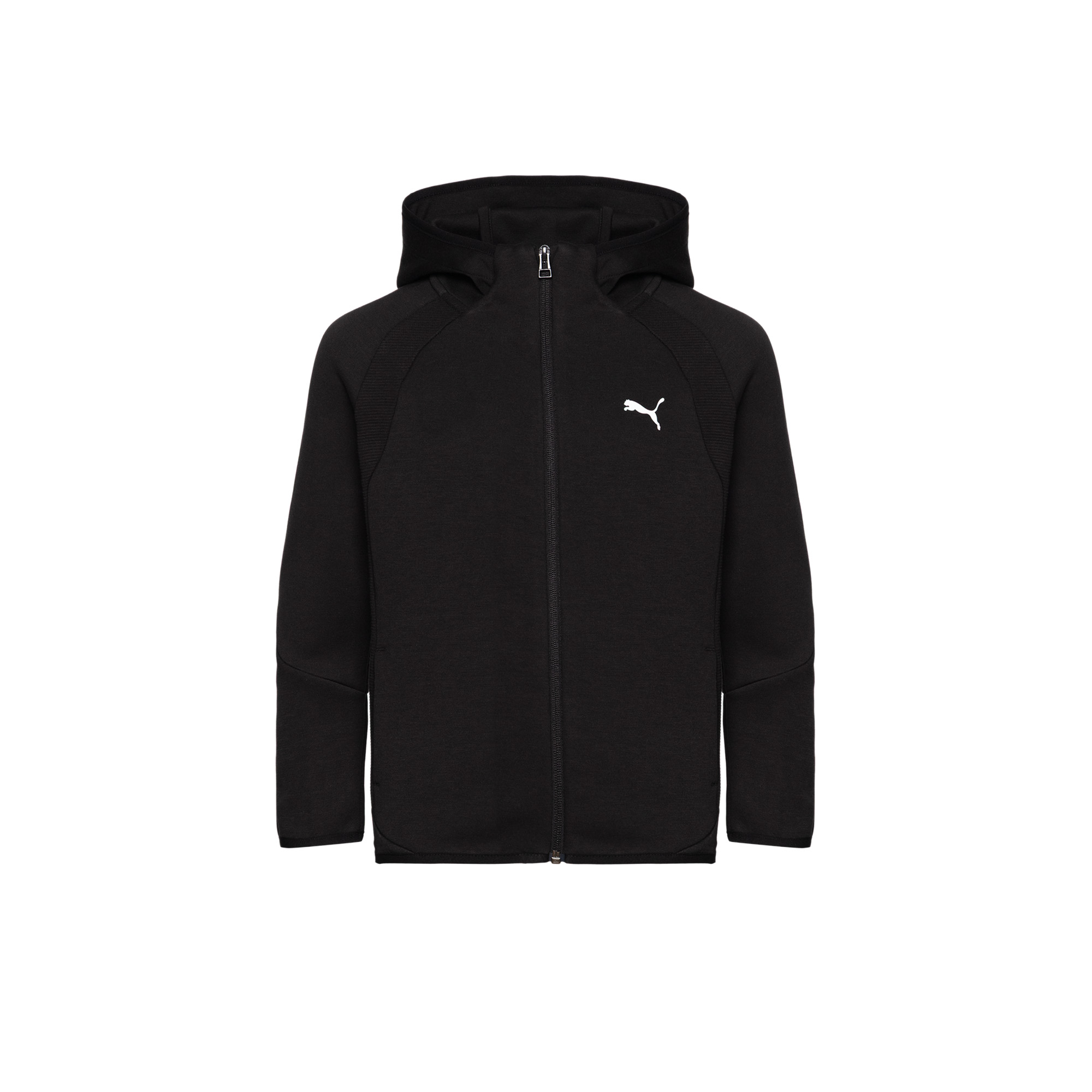 Подростковая толстовка Evostripe Full-Zip Hoodie PUMA 68886301-164