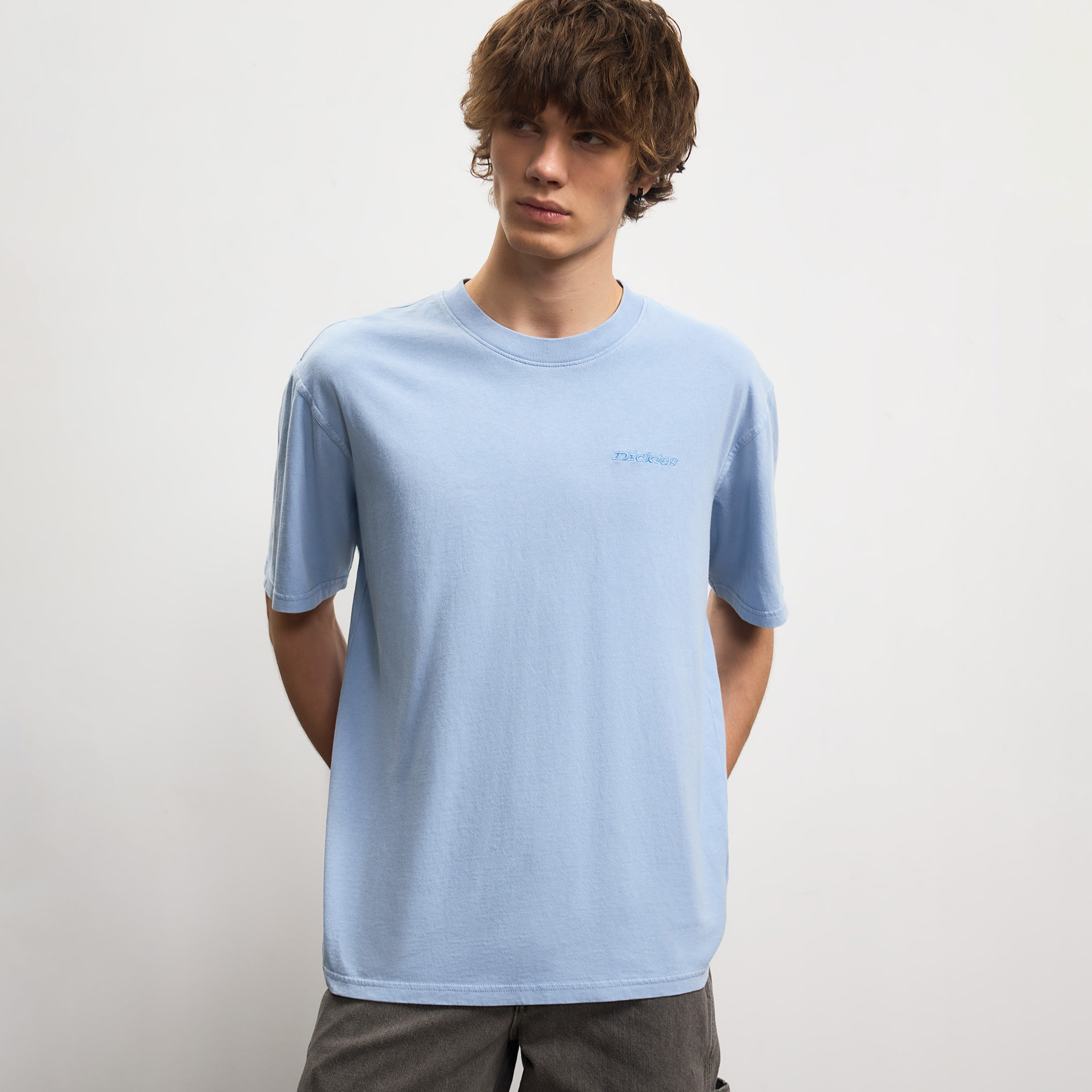 Мужская футболка Plentywood Tee Dickies DK0A866BL391-XL