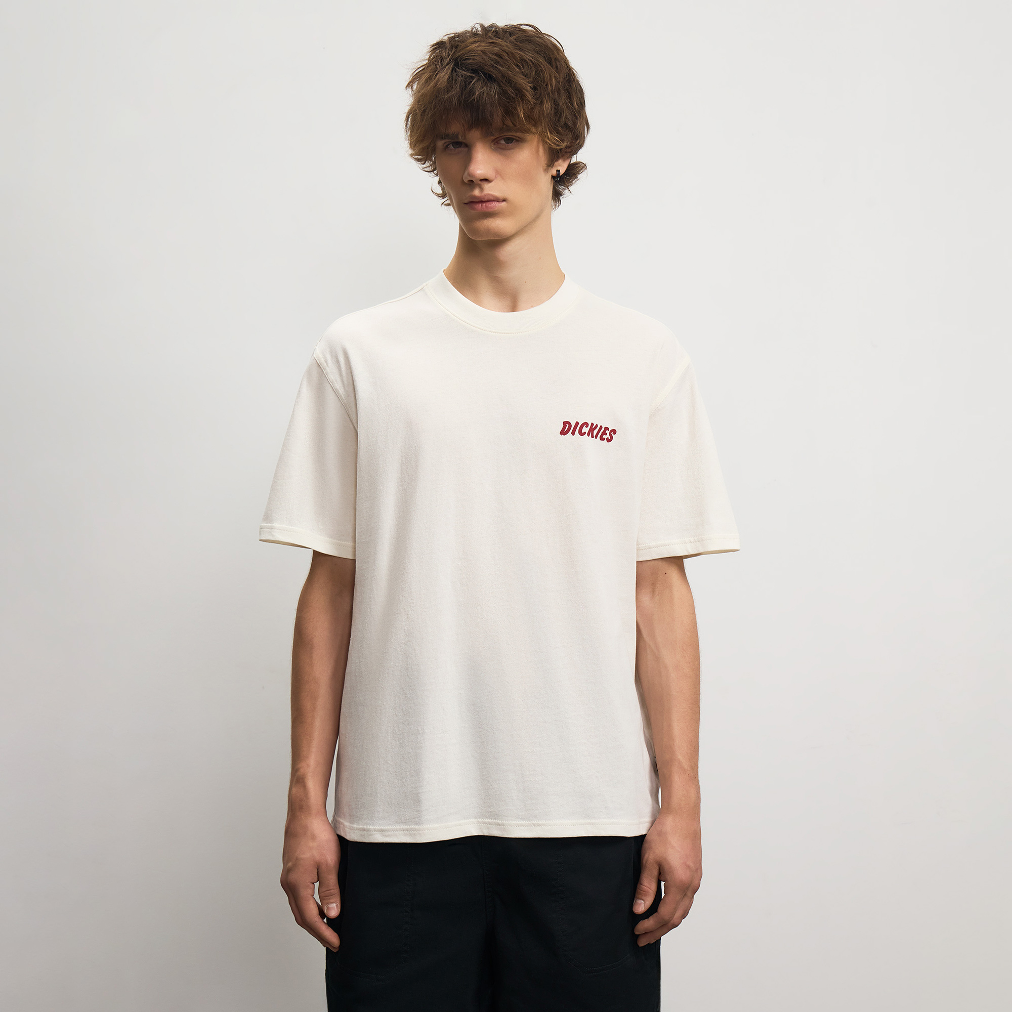 Мужская футболка Dry Ridge Tee Dickies DK0A8853C481-M