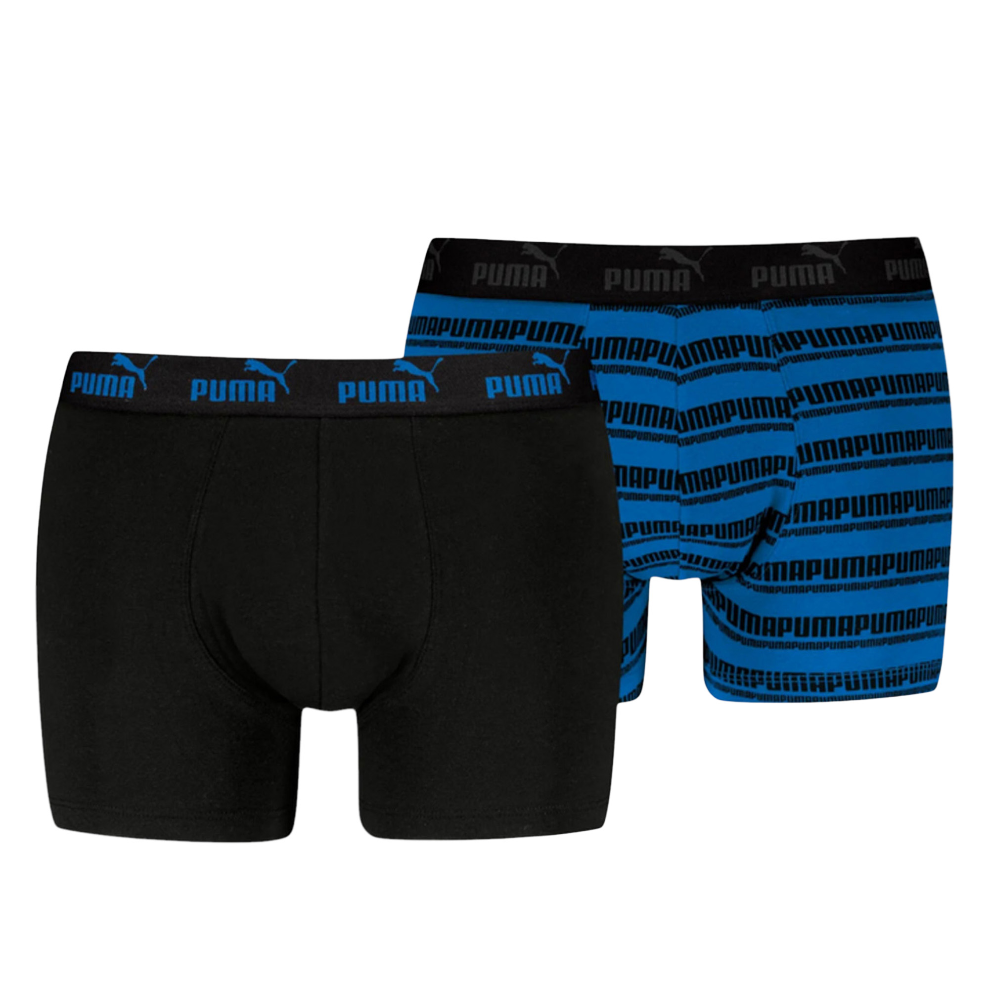Мужские трусы Elements Striped Boxers PUMA 93884203-S
