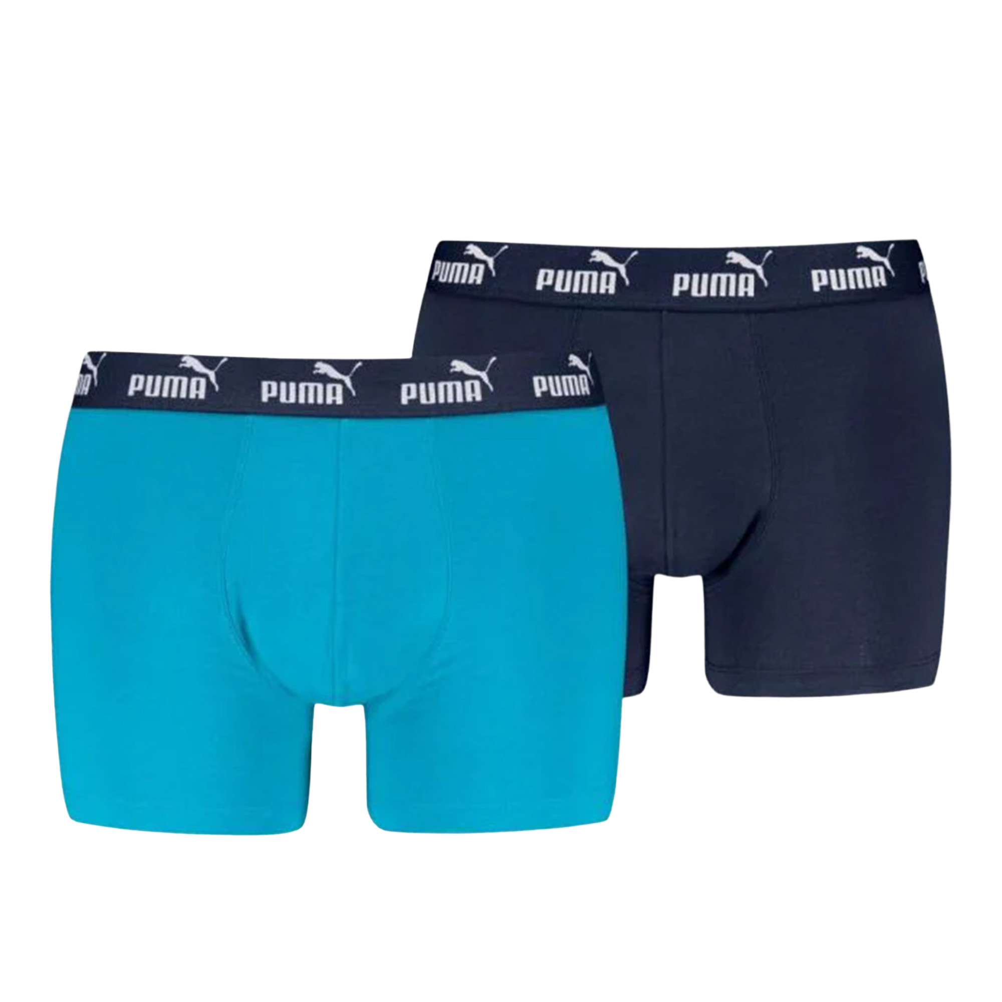 Мужские трусы Elements Basic Boxers 2P PUMA 93875308-M