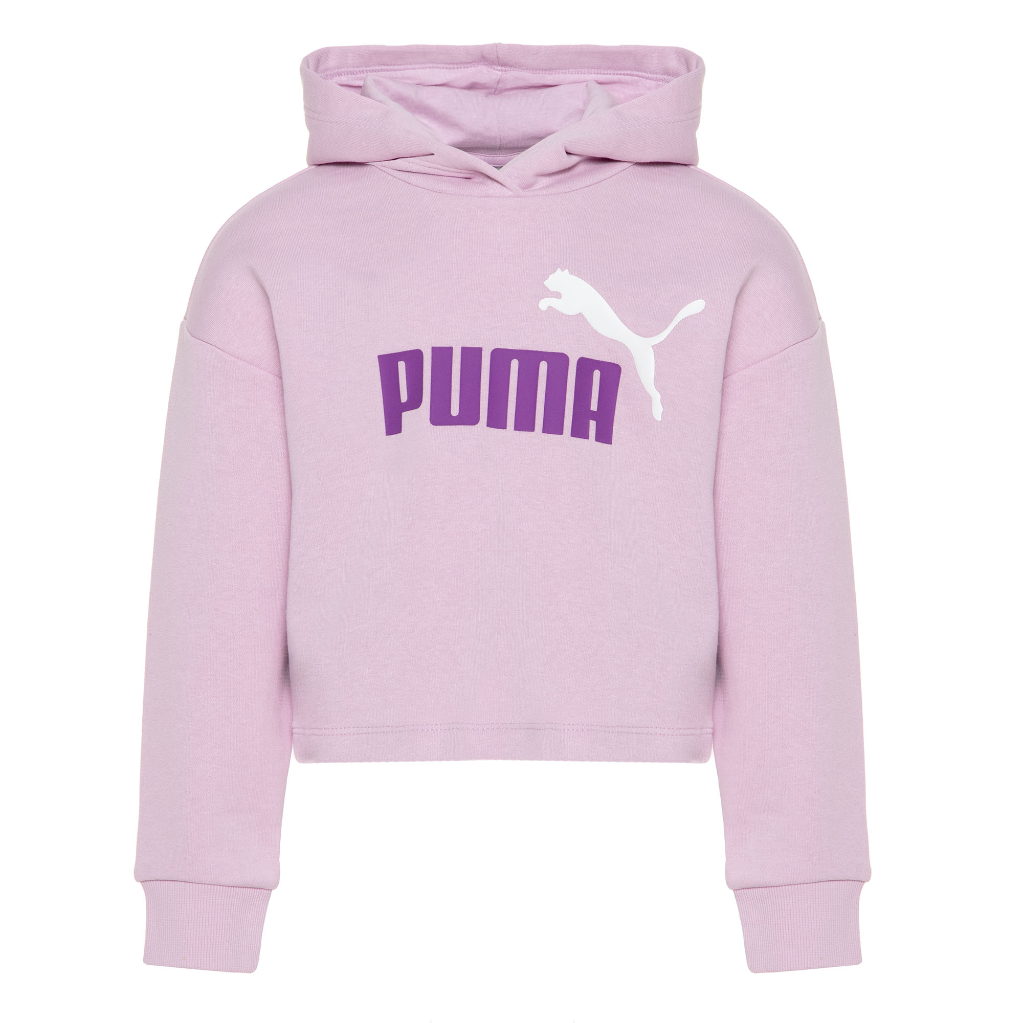 Подростковая худи Essentials + 2color Logo Hoodie PUMA 68099360-116