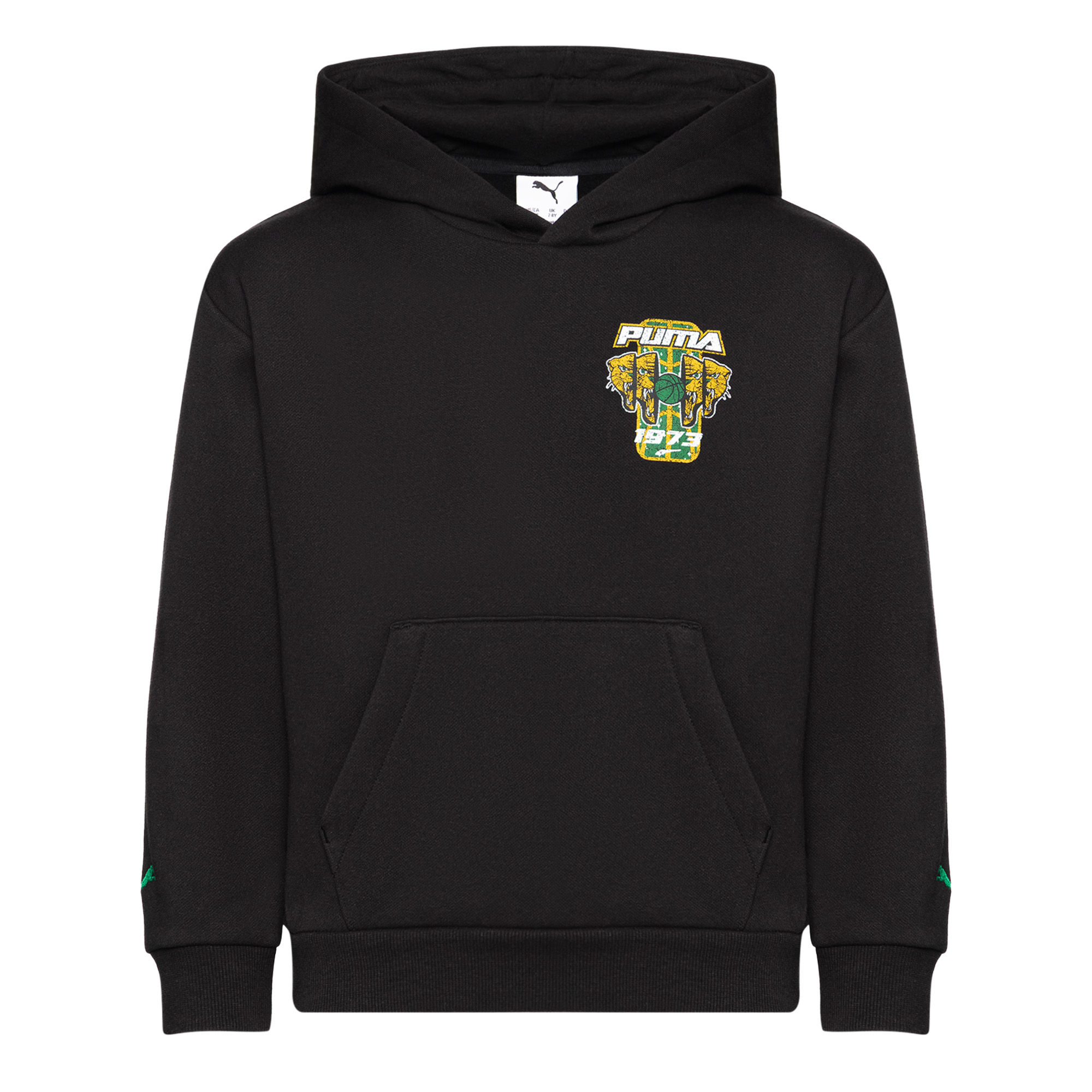 Подростковая худи Hoopstellations Hoodie PUMA 68897601-152
