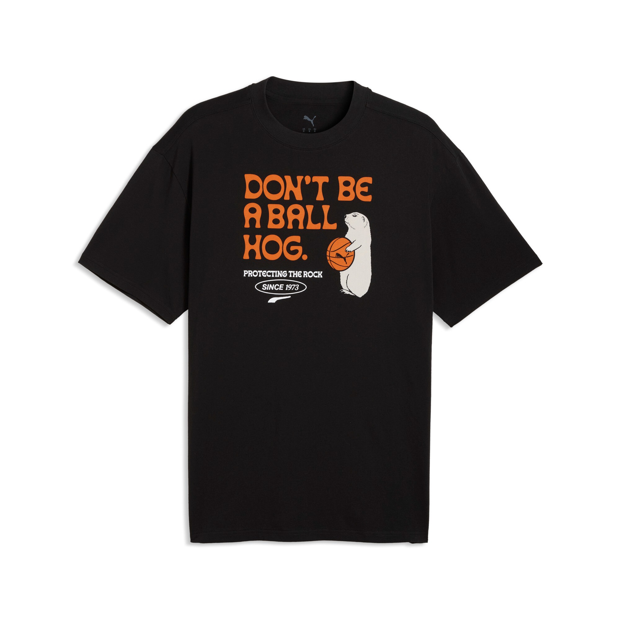 Мужская футболка Junior Varsity Tee II PUMA 69230601-L