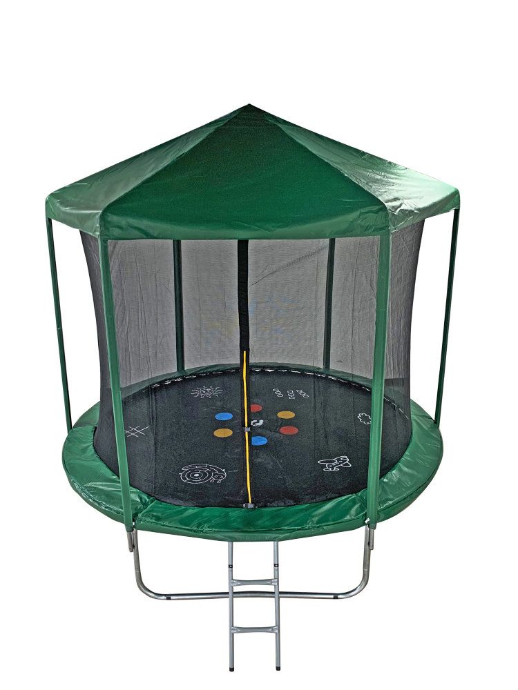 Батут 8FT 2,44м HOME с принтом, защитной сеткой и крышей FR-30-8FT Barfits