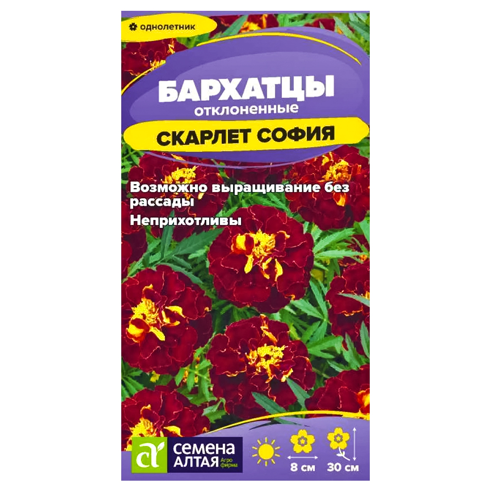 Бархатцы махровые Скарлет София Семена Алтая