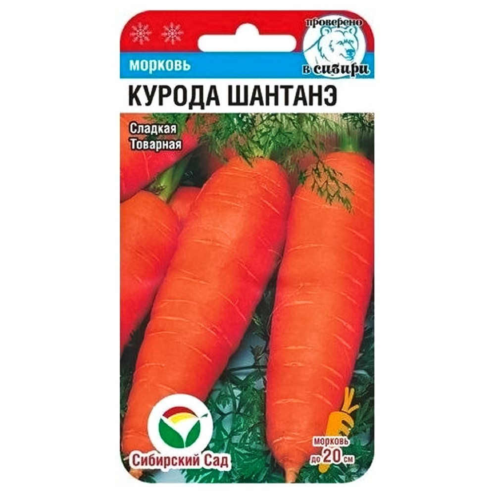 Морковь Курода Шантанэ Сибирский сад