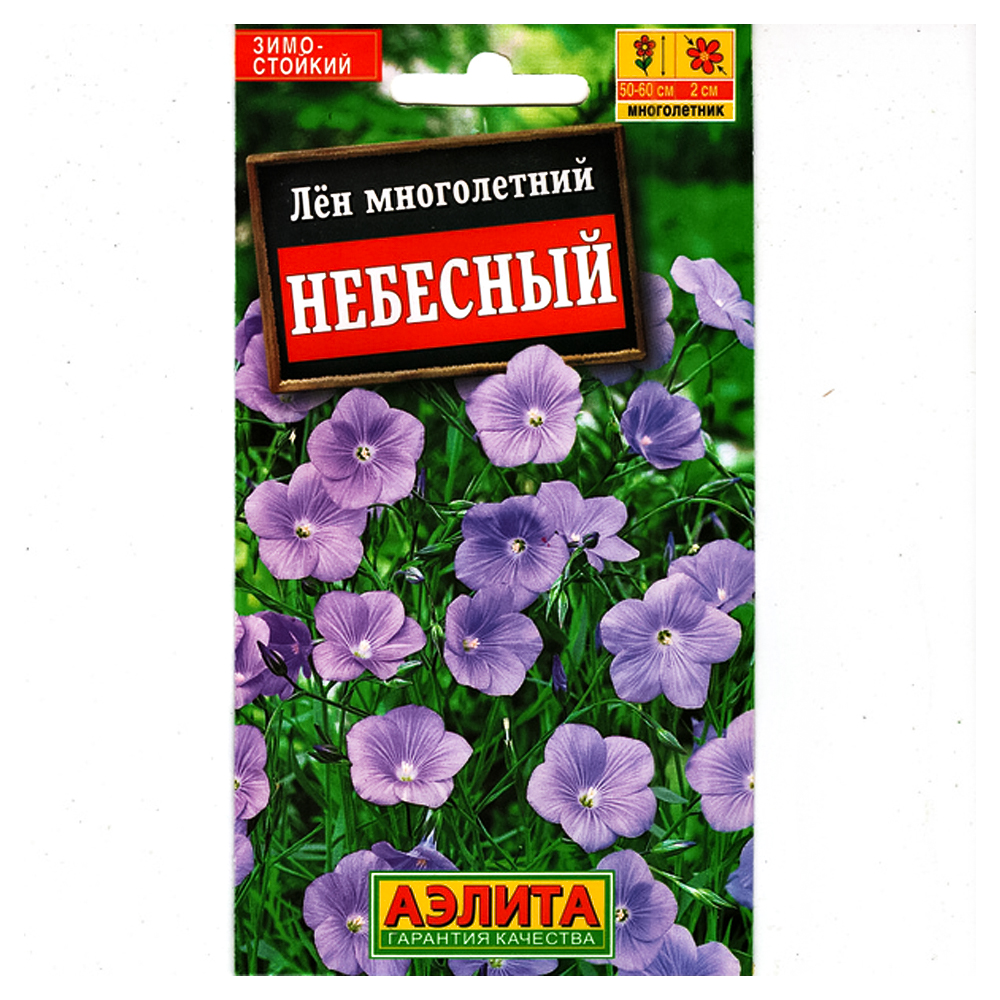 Лен многолетний Небесный Аэлита