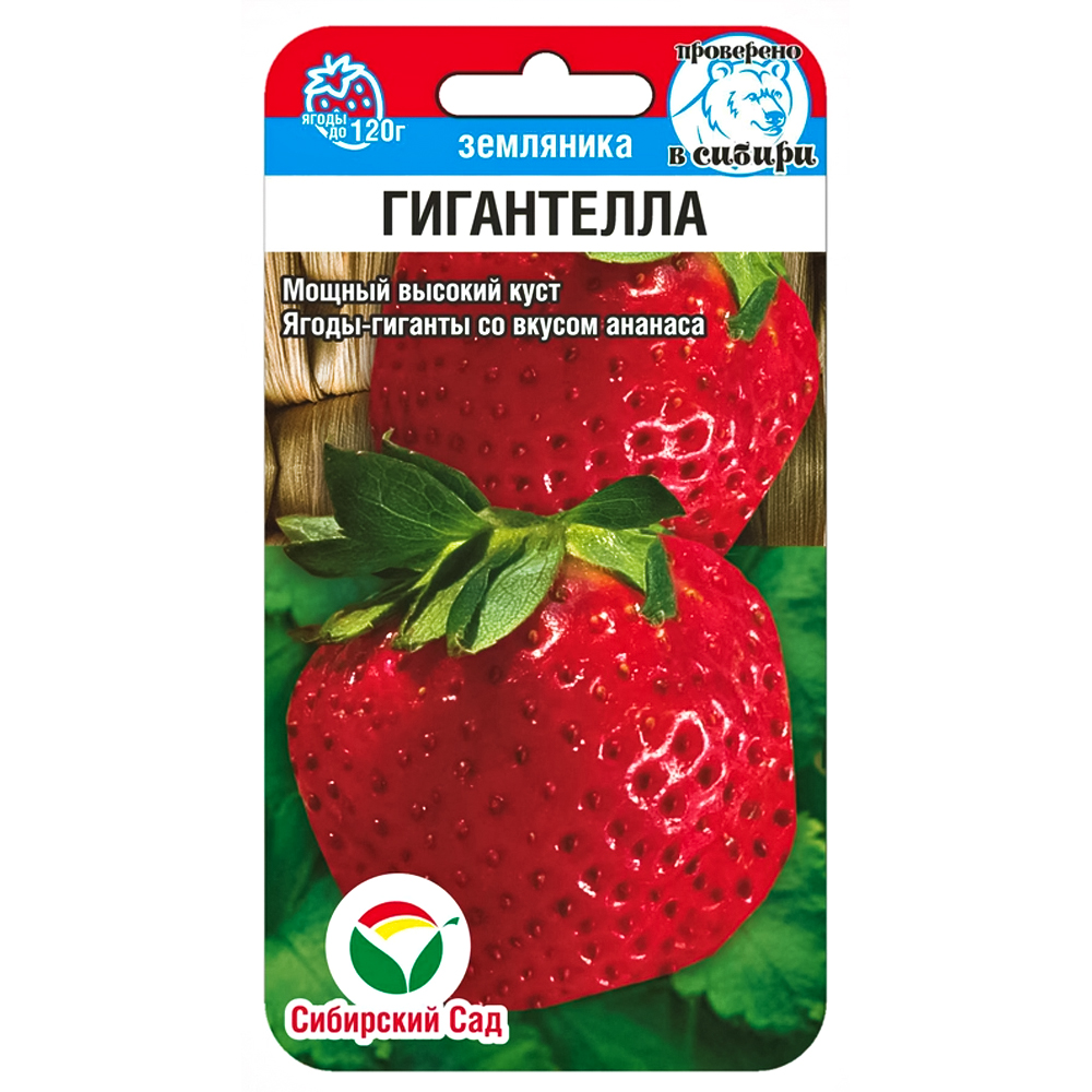 Земляника крупноплодная Гигантелла, семена Сибирский сад