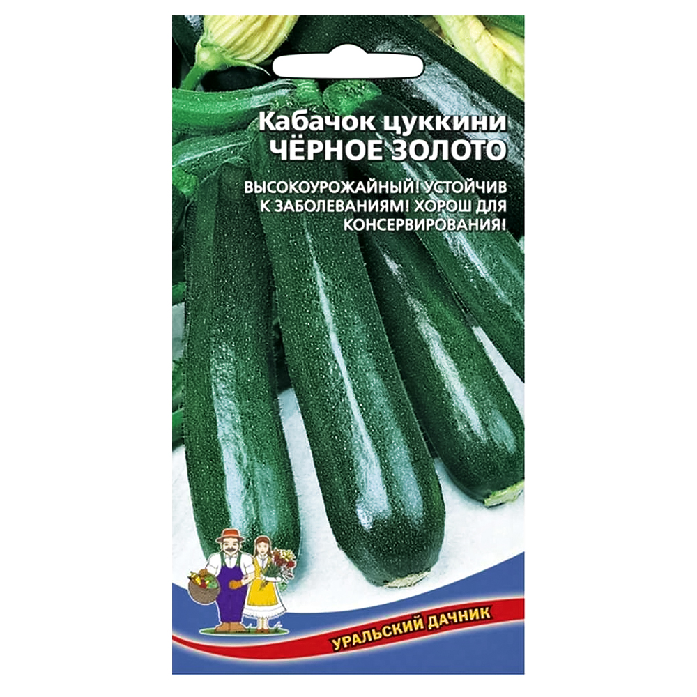 Кабачок Черное золото Уральский дачник