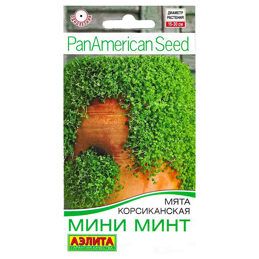 Мята корсиканская Мини Минт Аэлита