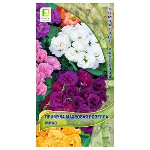 Примула махровая Розелла, смесь окрасок Поиск