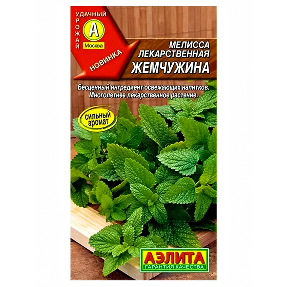 Мелисса лекарственная Жемчужина Аэлита