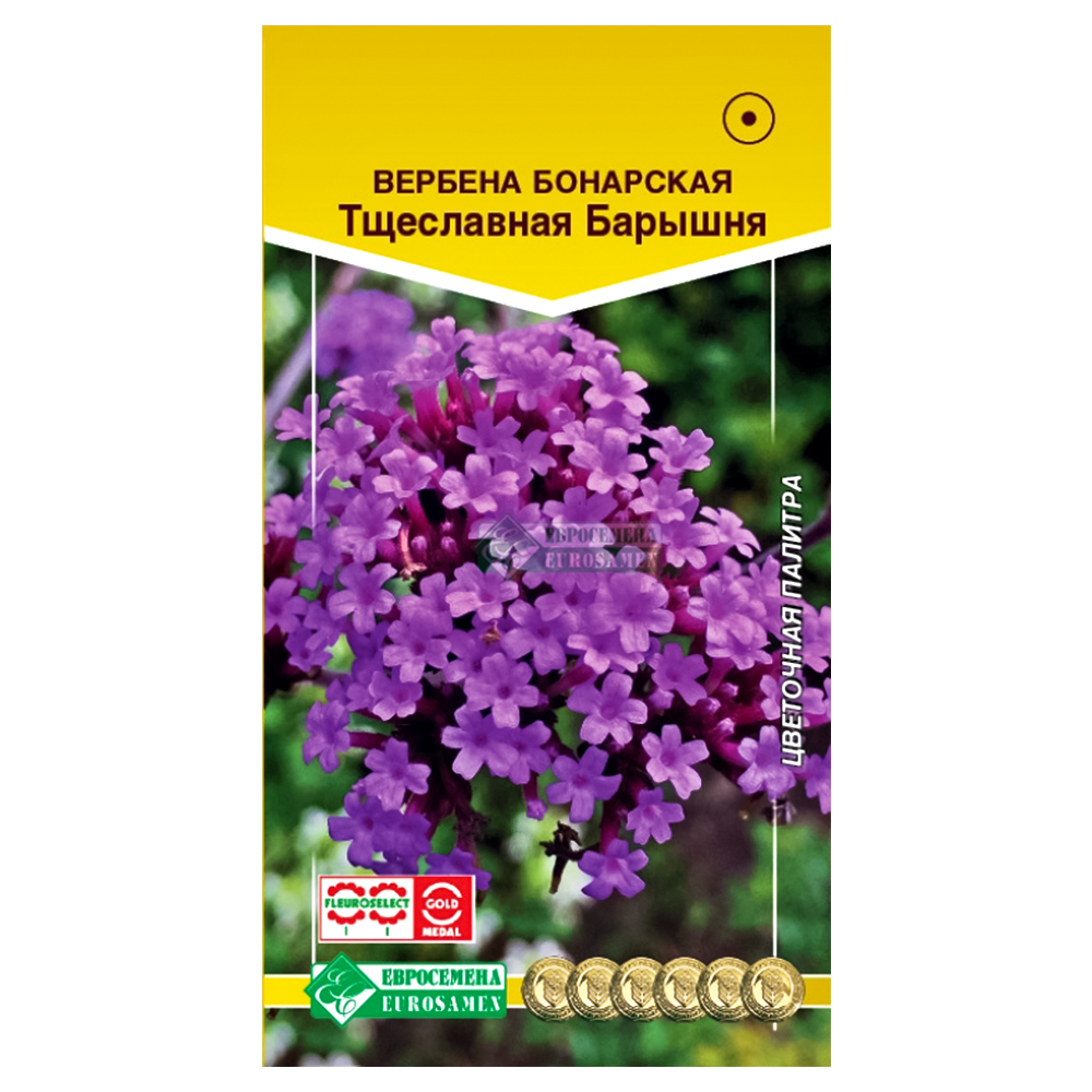 Вербена Тщеславная барышня Евросемена