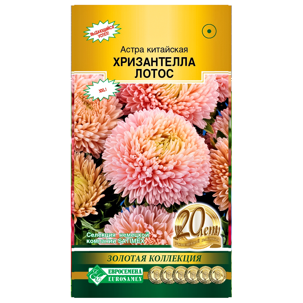 Астра китайская Хризантелла Лотос Евросемена