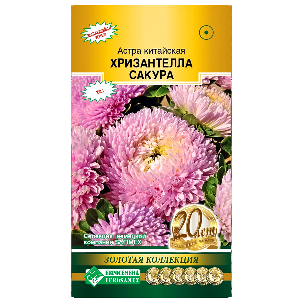 Астра китайская Хризантелла Сакура Евросемена