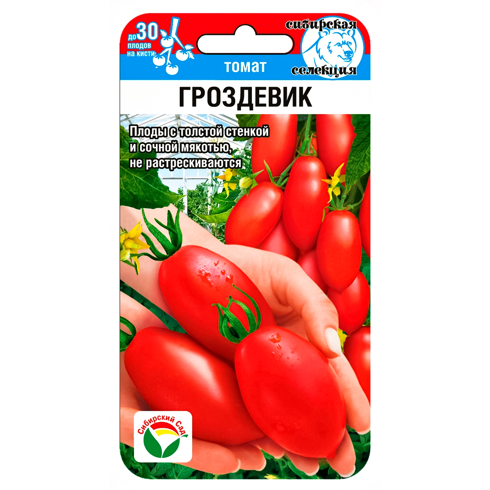 Томат Гроздевик Сибирский сад