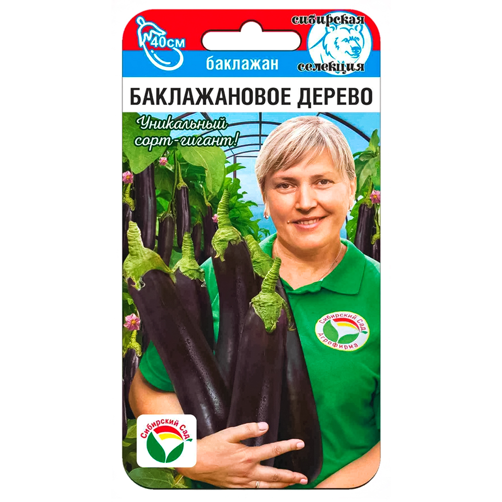 Баклажан Баклажановое дерево Сибирский сад