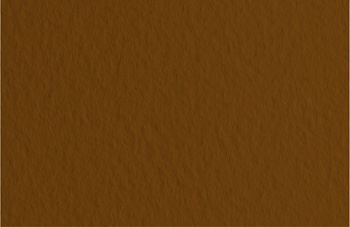 Бумага для пастели Fabriano "Tiziano" 50x65 см 160 г №09 кофе FBR-52551009