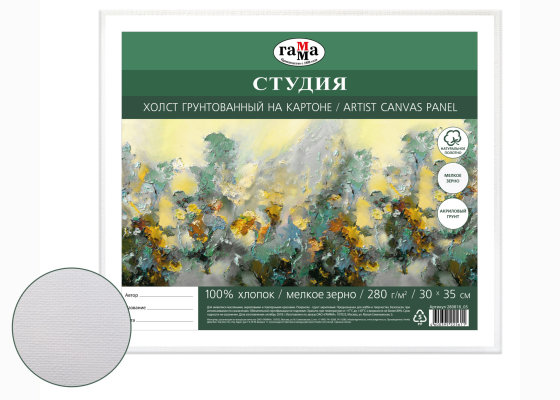 Холст грунтованный на картоне Гамма "Студия" 30х35 см ГМ-280818_05