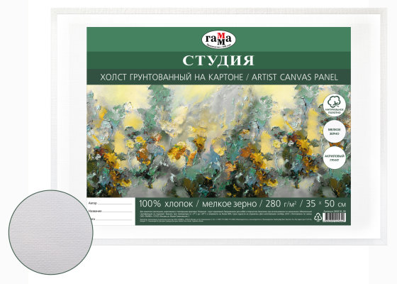Холст грунтованный на картоне Гамма "Студия" 35х50 см ГМ-280818_08