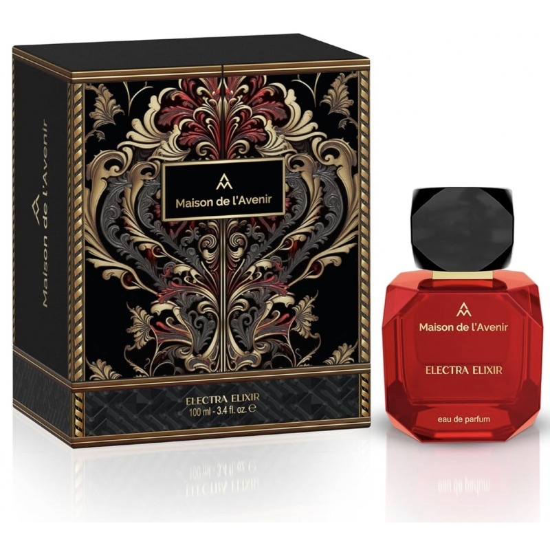 Electra Elixir Maison de l'Avenir