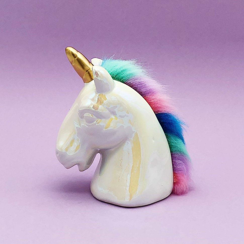 Копилка "Fluffy head unicorn" iLikeGift ILG-SM19-07