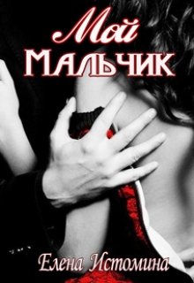 Мой Мальчик litnet.com