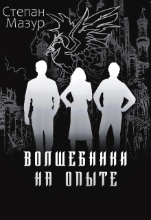 Волшебники на опыте (*60 иллюстраций) litnet.com