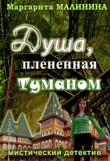 Душа, плененная туманом litnet.com