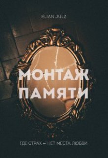 Монтаж памяти litnet.com