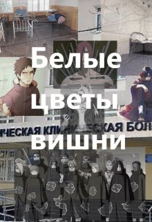 Белые цветы вишни litnet.com