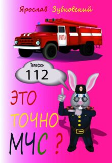 Это точно Мчс? litnet.com