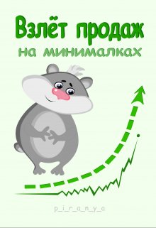 Взлёт продаж на минималках litnet.com