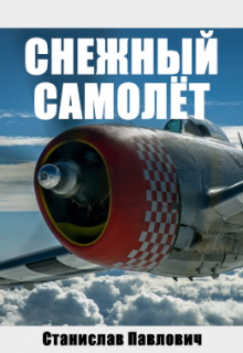 Снежный самолёт litnet.com