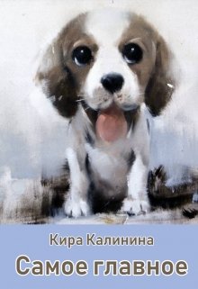 Самое главное litnet.com