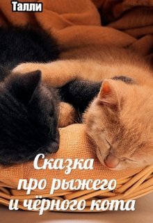 Сказка про рыжего кота и чёрного кота litnet.com