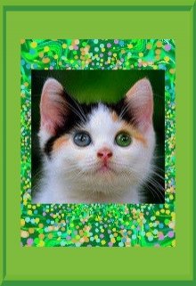 Пестрый котенок litnet.com