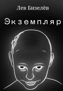 Экземпляр litnet.com