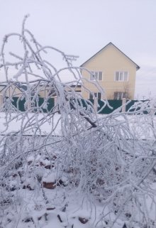 Клюквенное счастье litnet.com