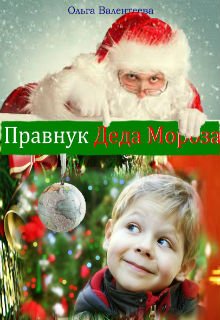 Правнук Деда Мороза litnet.com