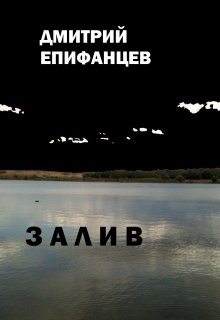 Залив litnet.com