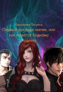 Первый колледж магии или как живется бедному студенту litnet.com